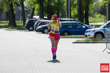 Następne zdjęcie