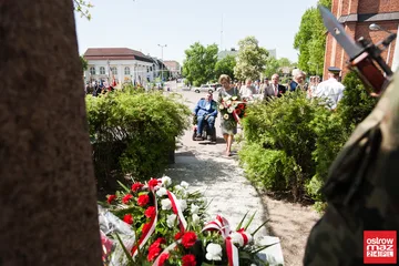 Następne zdjęcie