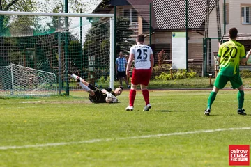 Następne zdjęcie