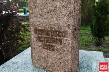 Obelisk wrócił pod Dąb Wolności (zdjęcia)