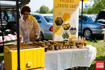 Następne zdjęcie