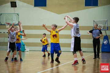 Następne zdjęcie