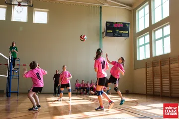 Następne zdjęcie