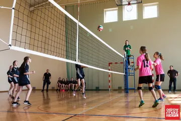 Następne zdjęcie