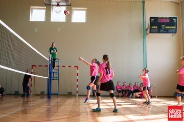 Poprzednie zdjęcie