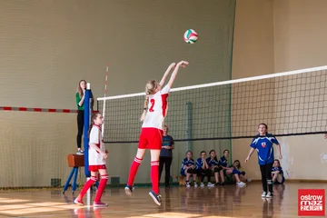 Poprzednie zdjęcie