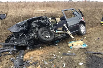 Poprzednie zdjęcie