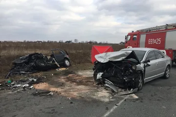 Poprzednie zdjęcie