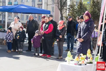 Poprzednie zdjęcie