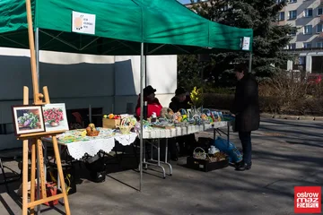 Poprzednie zdjęcie