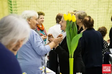 Następne zdjęcie