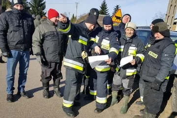 Stary Lubotyń: poszukiwania martwych dzików (zdjęcia)