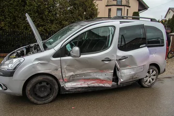 Poprzednie zdjęcie