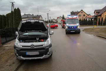 Następne zdjęcie