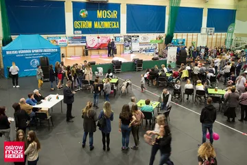 Następne zdjęcie