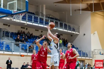 Następne zdjęcie