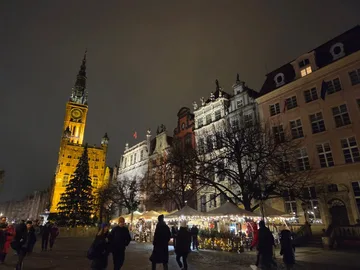 Poprzednie zdjęcie