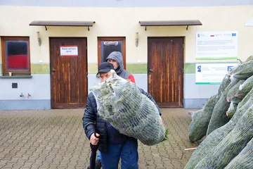 Poprzednie zdjęcie