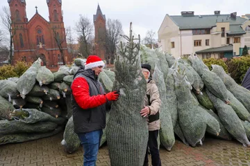 Poprzednie zdjęcie