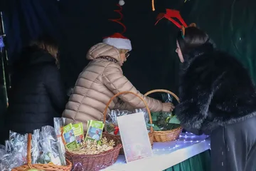 Poprzednie zdjęcie