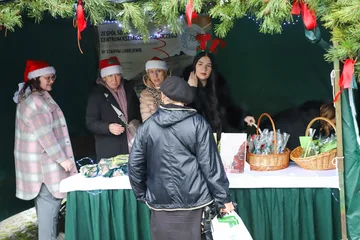 Następne zdjęcie