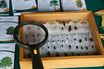 Poprzednie zdjęcie