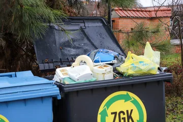 Następne zdjęcie