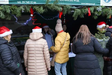 Następne zdjęcie