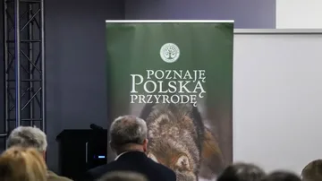 Następne zdjęcie