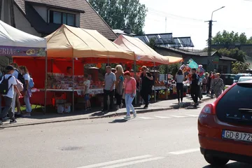 Poprzednie zdjęcie