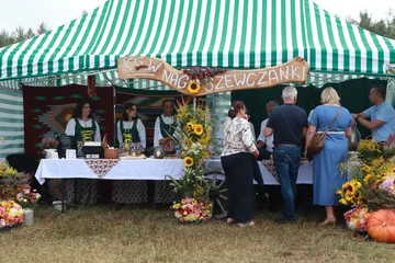 Następne zdjęcie