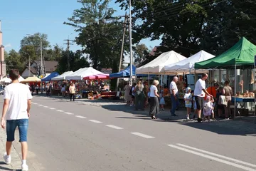 Poprzednie zdjęcie