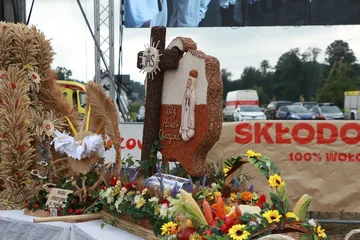 Poprzednie zdjęcie