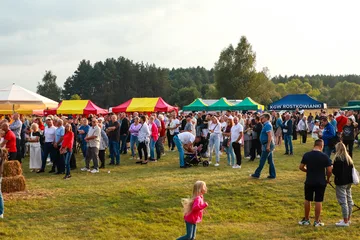 Następne zdjęcie