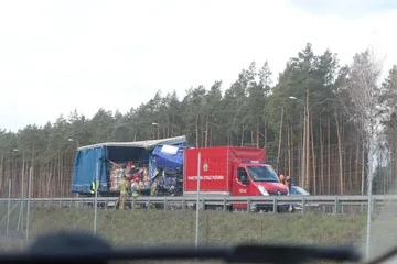 Poprzednie zdjęcie