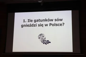 Poprzednie zdjęcie