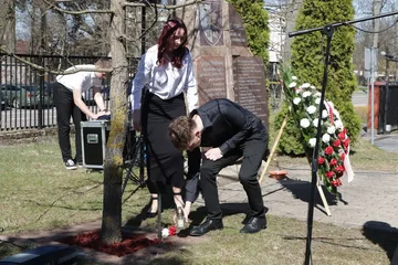 Poprzednie zdjęcie