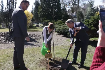 Poprzednie zdjęcie
