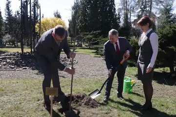 Poprzednie zdjęcie