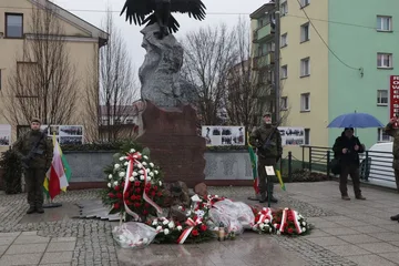 Poprzednie zdjęcie