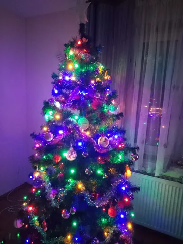 Następne zdjęcie
