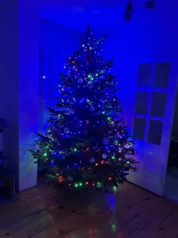 Poprzednie zdjęcie