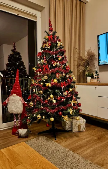 Poprzednie zdjęcie