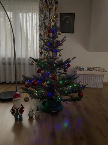 Następne zdjęcie