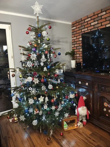 Następne zdjęcie