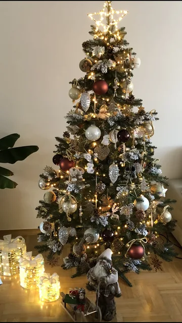 Następne zdjęcie