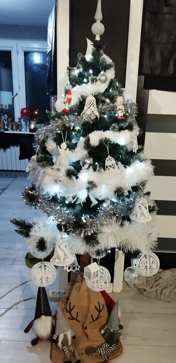 Następne zdjęcie