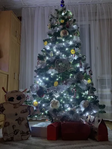 Poprzednie zdjęcie