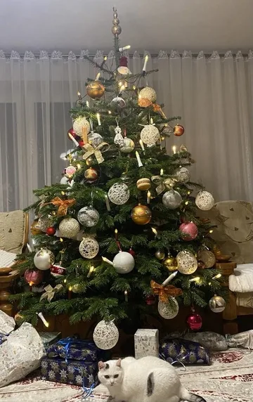 Następne zdjęcie