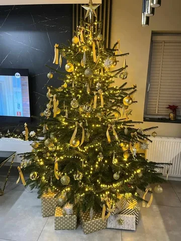 Następne zdjęcie